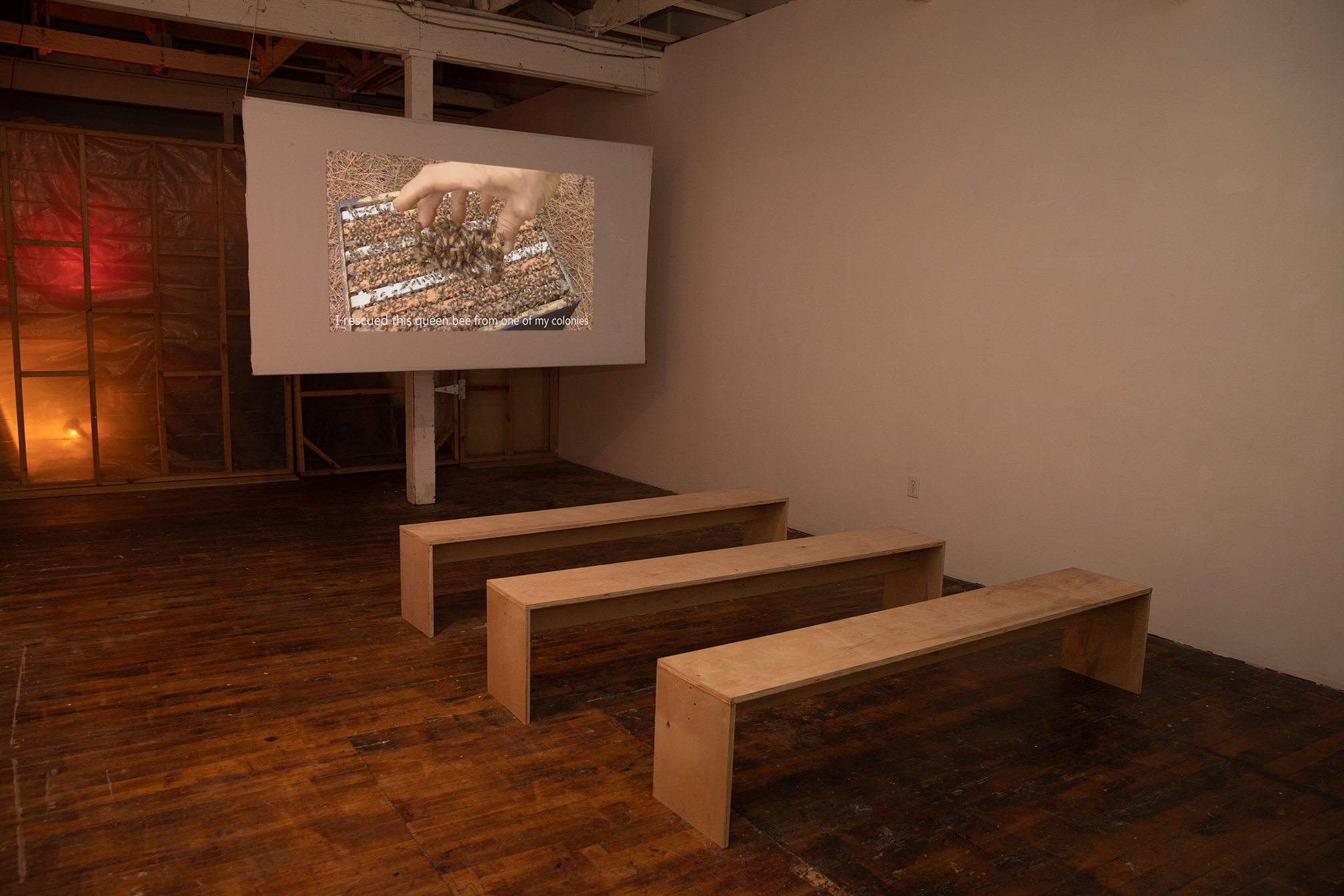 3/4 view of a projection screen with three wooden benches for seating in front in a room with warm lighting